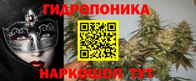 прущие грибы Заводоуковск