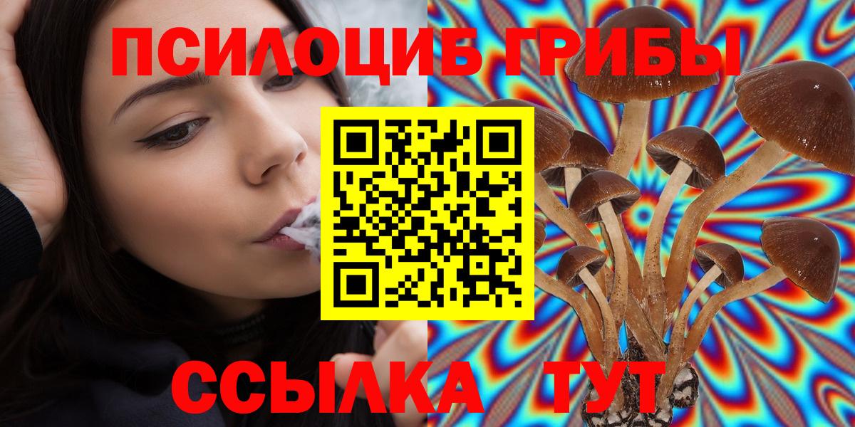 купить наркотики цена  Вход с VPN  Коломна  Псилоцибиновые грибы мухоморы 